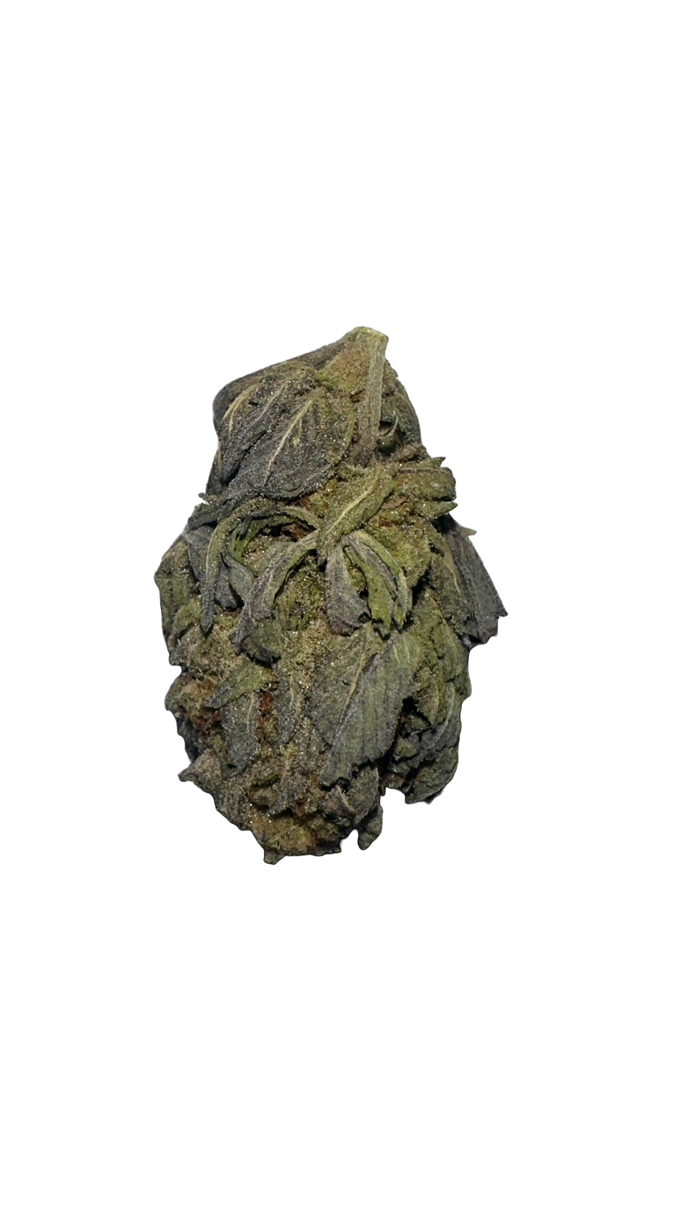 pink guava strain